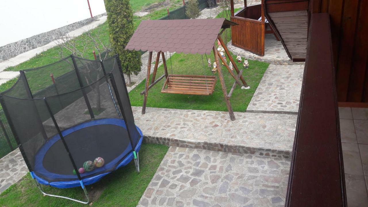 Pensiunea Nicol Hotel Valea Iasului Ngoại thất bức ảnh